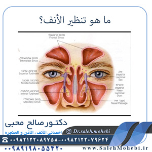 ما-هو-تنظير-الأنف؟      