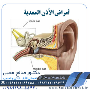أمراض الأذن المعدية