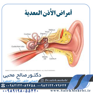 أمراض الأذن المعدية      